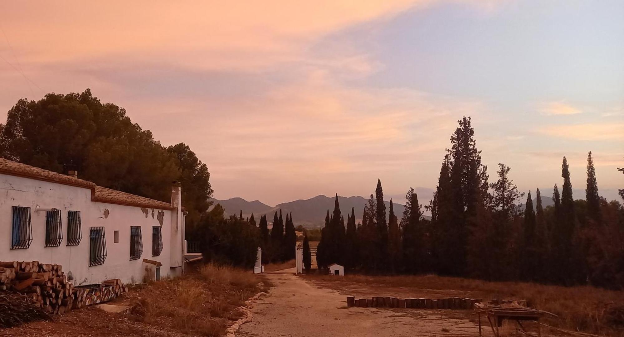 Casa Rural Vista Magdalena Yecla Εξωτερικό φωτογραφία